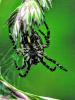363788 – Photo : bernard evrad – France (00)