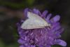 363915 – Photo : Pierre Duhem – France (73)