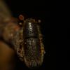 363014 – Photo : Simon Thevenin – France (13)