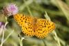 363072 – Photo : Thierry Madigou – France (74)