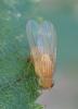 363841 – Photo : Catherine Reymonet-Smitten – France (19)
