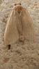 363771 – Photo : bernard evrad – Espagne