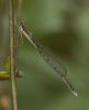 363590 – Photo : lguez – France (12)