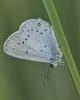 364453 – Photo : Patrice skrzynski – France (72)