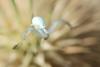 364394 – Photo : Zogrot – France (85)