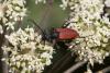 364171 – Photo : Pierre Duhem – France (73)