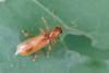 364425 – Photo : Thomas Reverchon – France (21)