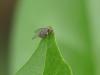 364281 – Photo : Sandor31 – France (31)