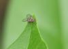 364273 – Photo : Sandor31 – France (31)