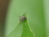 364280 – Photo : Sandor31 – France (31)