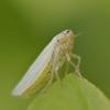 364744 – Photo : Franck Pion – France (78)