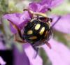 364323 – Photo : Bernard Mallet – France (95)
