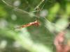 364544 – Photo : Damien Top – Seychelles