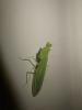 364545 – Photo : Damien Top – Seychelles