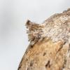 365606 – Photo : André Burgers – Espagne