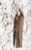 365674 – Photo : André Burgers – Espagne