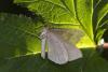 365398 – Photo : Pierre Duhem – France (73)