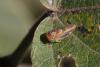 365509 – Photo : Pierre Duhem – France (95)