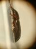 365051 – Photo : Tristan Maury-Caudal – France (85)