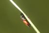 365302 – Photo : Simon Thevenin – France (15)