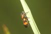 365301 – Photo : Simon Thevenin – France (15)