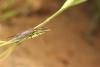 365061 – Photo : Simon Thevenin – France (20)