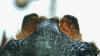 365825 – Photo : Simon Thevenin – Espagne