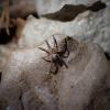 365612 – Photo : Joris Forget – Suède