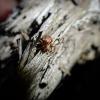 365472 – Photo : Joris Forget – Suède