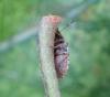 365839 – Photo : Maria Justamond – France (35)