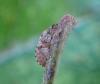 365838 – Photo : Maria Justamond – France (35)