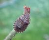 365836 – Photo : Maria Justamond – France (35)