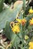 365109 – Photo : Armelle Bass – France (22)