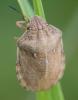 37041 – Photo : Pierre Duhem – France (24)