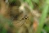 37599 – Photo : Michel Renou – France (91)