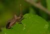 37631 – Photo : Michel Renou – France (91)