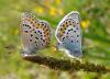 37697 – Photo : Arnaud Jean-Pierre – France (09)