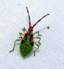 37349 – Photo : Magalie Mazuy – France (25)