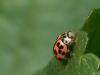 37998 – Photo : Adrien Chorein – France (18)