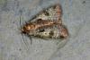 37011 – Photo : FRUND Christian – France (25)