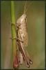 37381 – Photo : Yannick Jacob – France (76)