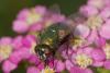 37522 – Photo : jean-claude bernard – France (29)