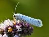 37411 – Photo : Denys Liger – France (18)