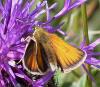 37271 – Photo : Pelouard – France (74)