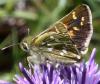 37291 – Photo : Pelouard – France (74)