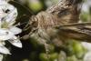 37418 – Photo : Carlos Ordonez – Suisse