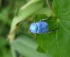 38690 – Photo : Emmanuel Freri – France (37)