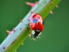 38033 – Photo : Denys Liger – France (27)