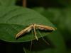 38601 – Photo : Olivier Bouteleux – France (80)