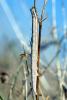 38778 – Photo : Vincent Derreumaux – France (84)